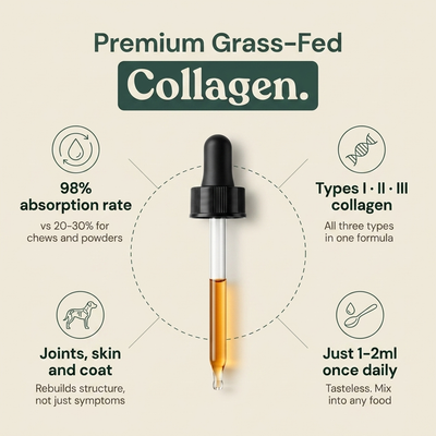 Liquid Collagen For Cats (Gift)