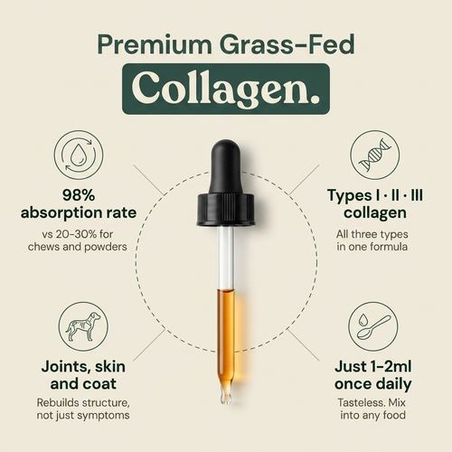 Liquid Collagen For Cats (Gift)