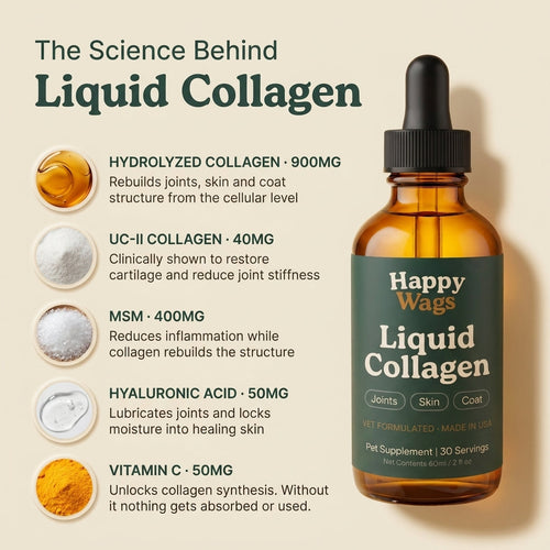 Liquid Collagen For Cats (Gift)