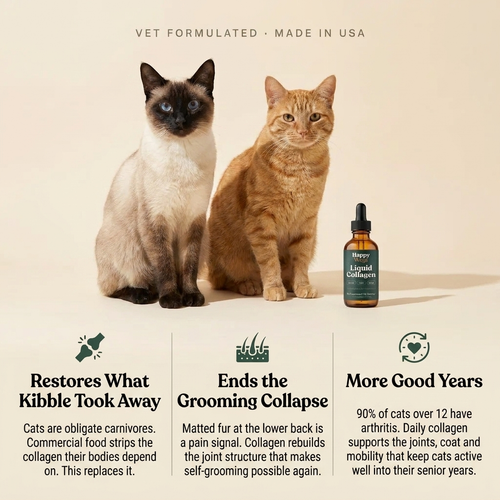 Liquid Collagen For Cats (Gift)