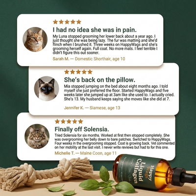 Liquid Collagen For Cats (Gift)