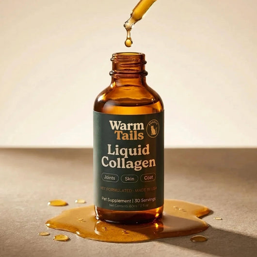 Liquid Collagen For Cats (Gift)
